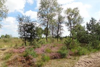 Wanderroute Achelse Kluis