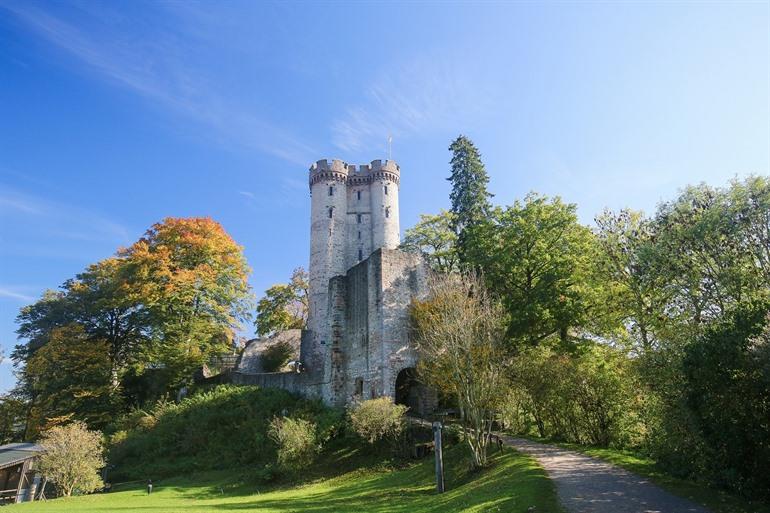 Adler- und Wolfspark Kasselburg