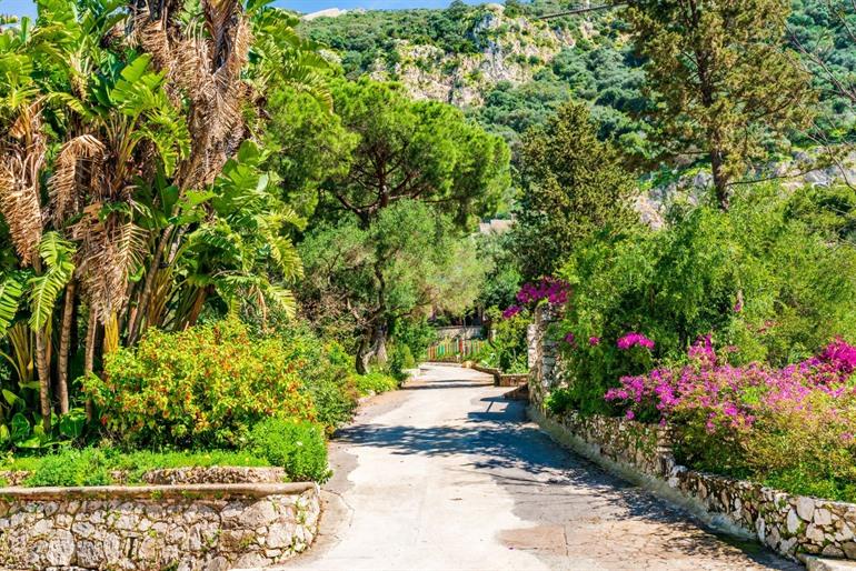 Besuchen Sie die Alameda Botanical Gardens in Gibraltar