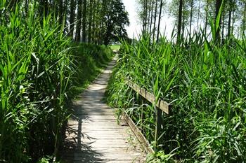 Fahrradroute Alken