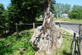 Fahrradroute Alken