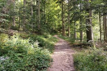 Allerheiligen-Quellen-Wanderung, Schwarzwald