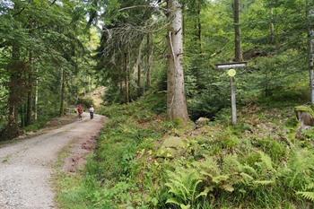 Allerheiligen-Quellen-Wanderung, Schwarzwald