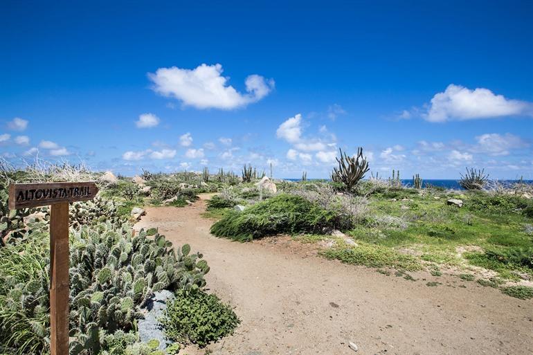 Alto Vista Wanderweg, Aruba