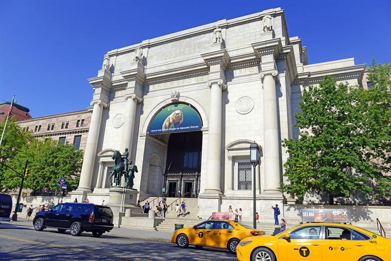 Das American Museum of Natural History in New York City besuchen