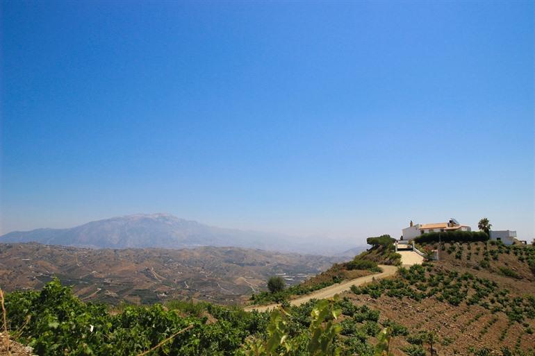 Andalusisches Landgut