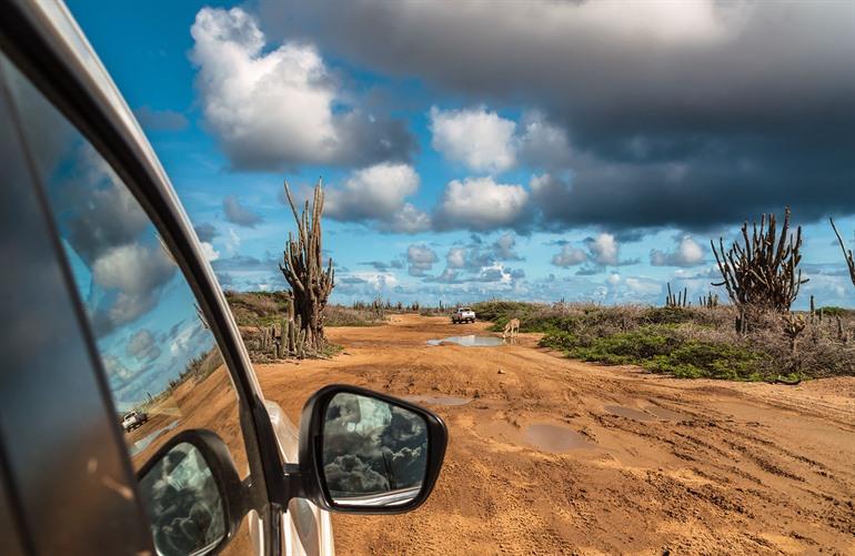 Mit dem Auto im Washington Slagbaai Nationalpark auf Bonaire fahren