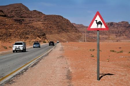Mietwagen für deine Rundreise durch Jordanien? Alle wichtigen Infos und Tipps für deinen Aufenthalt