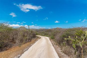 Autobahnen im Christoffelpark auf Curaçao