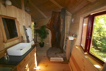 B & B La Cabane du Bois Dormant