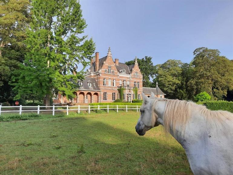 B&B Château de Ramegnies-Chin buchen
