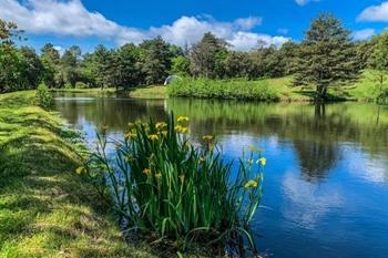 B&B La Forge de Montolieu buchen
