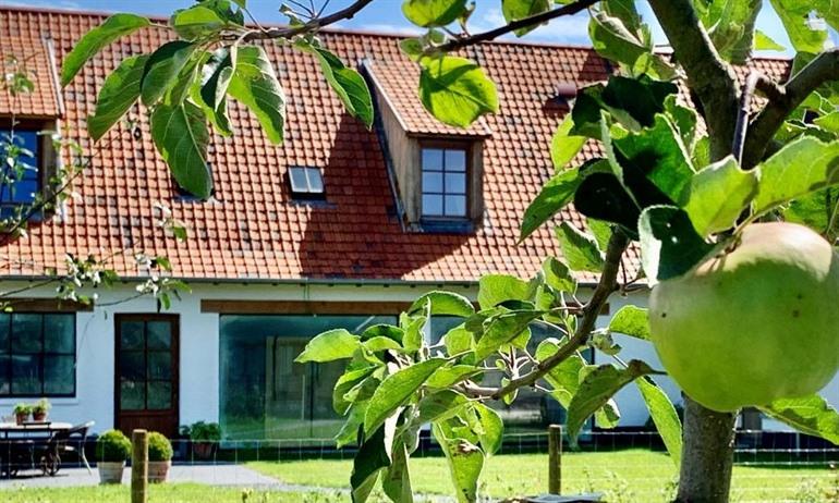 B&B Meilrijk in Diest