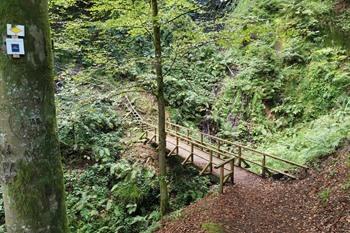 Bad Griesbach Teufelskanzelsteig Wanderung