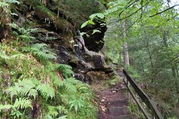 Bad Griesbach Teufelskanzelsteig Wanderung