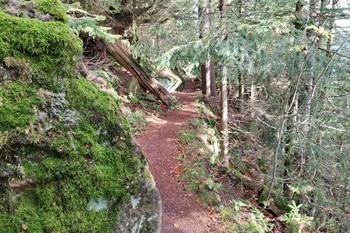Bad Griesbach Teufelskanzelsteig Wanderung