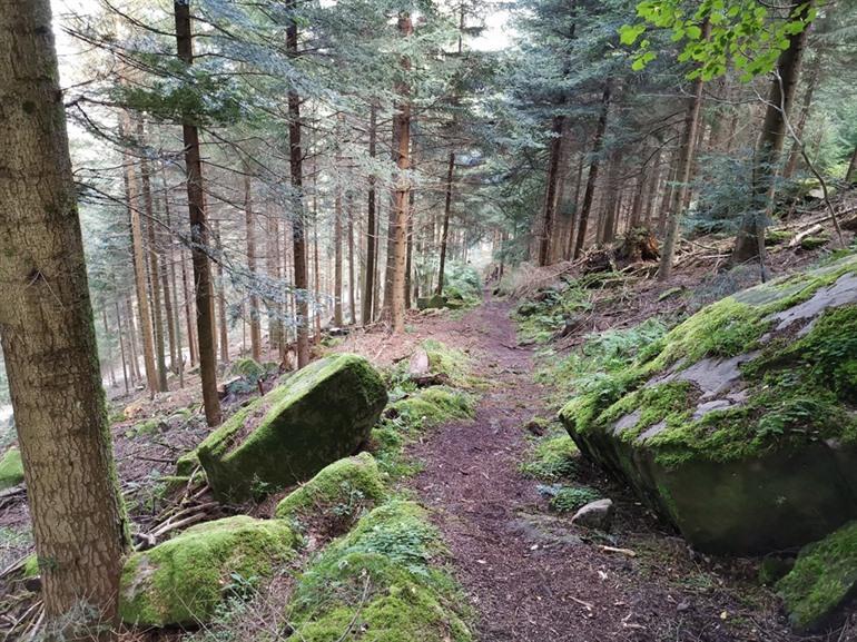 Bad Griesbach Teufelskanzelsteig Wanderung