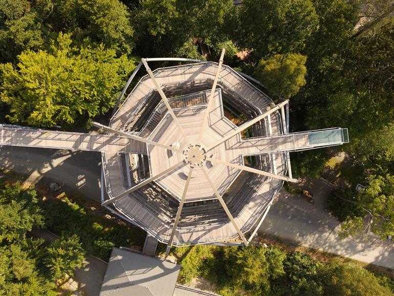 Baumwipfelpfad Harz bei Bad Harzburg, Harz