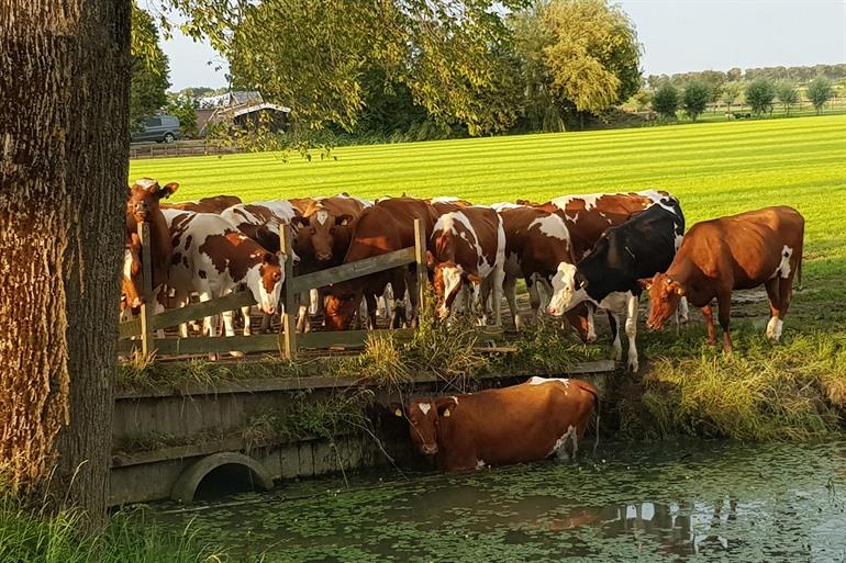 Beemster Polder