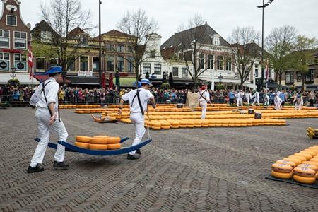 Berühmten Käsemarkt in Alkmaar besuchen, Niederlande