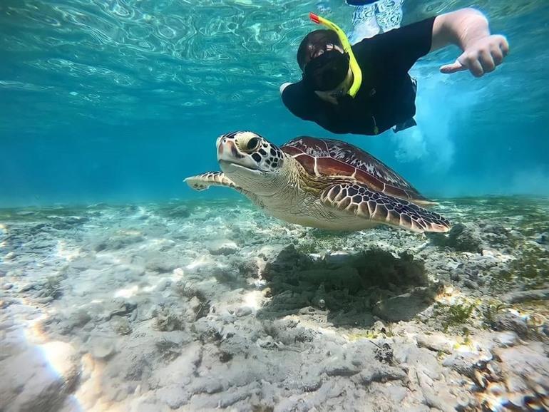 Bewundern Sie die Gili-Inseln an der Nordküste bei einem Tagesausflug