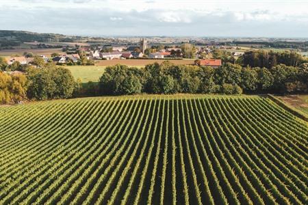 Sehenswürdigkeiten und Aktivitäten im Heuvelland