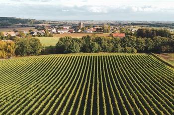Sehenswürdigkeiten und Aktivitäten im Heuvelland
