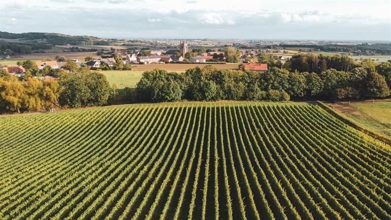 Sehenswürdigkeiten und Aktivitäten im Heuvelland