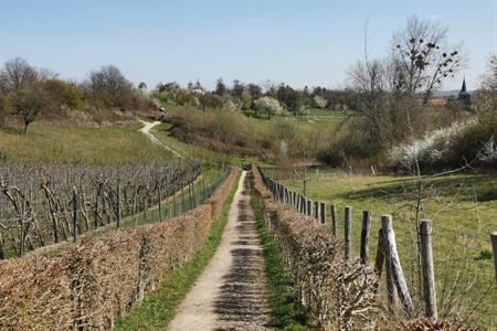 Sehenswürdigkeiten in Haspengouw