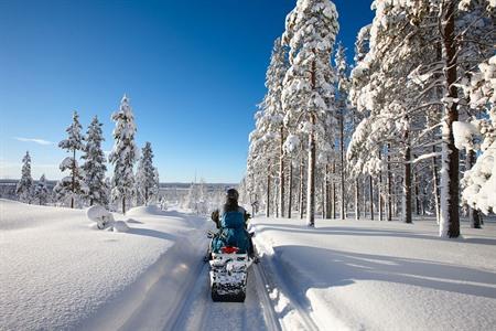 Auf Reisen nach Lappland? Sehenswürdigkeiten und Aktivitäten während Ihres Urlaubs in Lappland plus Tipps