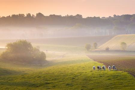 Sehenswürdigkeiten in den Vlaamse Ardennen