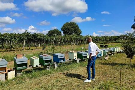 Besuch auf einem Lazise-Bauernhof mit Imkerei und Verkostung
