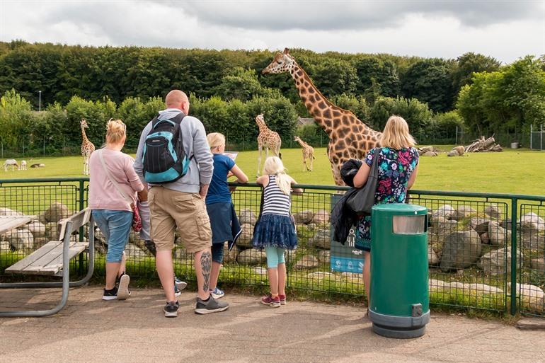 Besuchen Sie den Aalborg Zoo in Dänemark