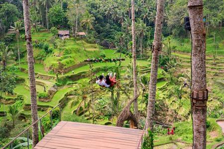 Besuchen Sie die Reisterrassen von Tegalalang in Ubud