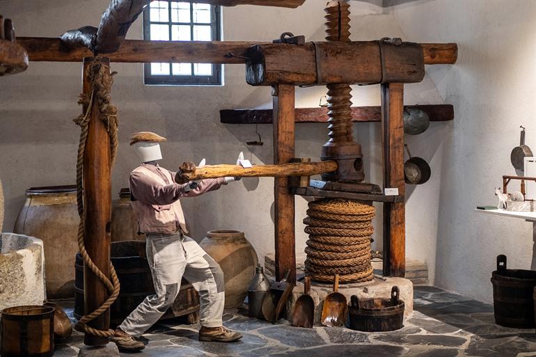 Besuchen Sie das Olivenmuseum in Imperia