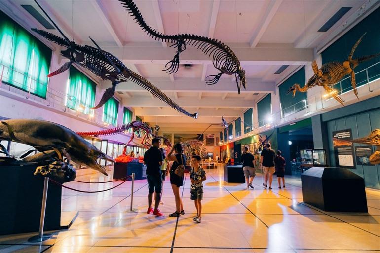 Besuchen Sie das Naturhistorische Museum