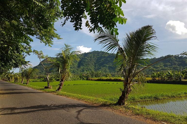 Besuchen Sie das ruhige Sidemen auf Bali