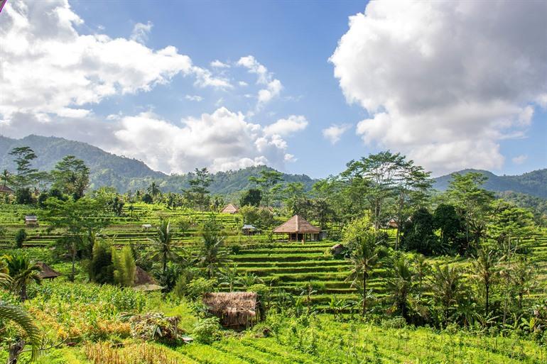 Besuchen Sie das ruhige Sidemen auf Bali
