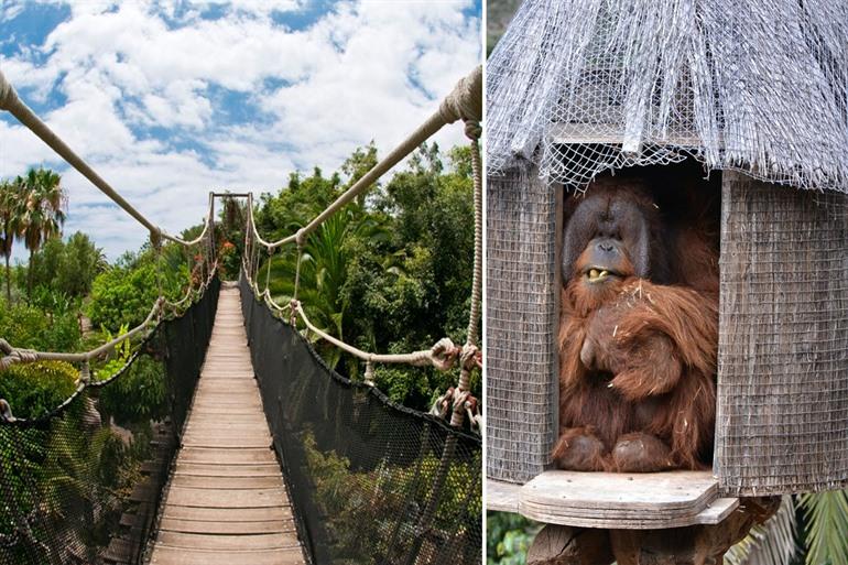 Besuchen Sie den Jungle Park auf Teneriffa