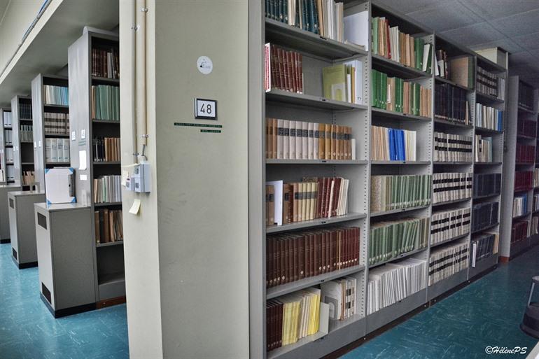 Bibliothek im Botanischen Garten Meise