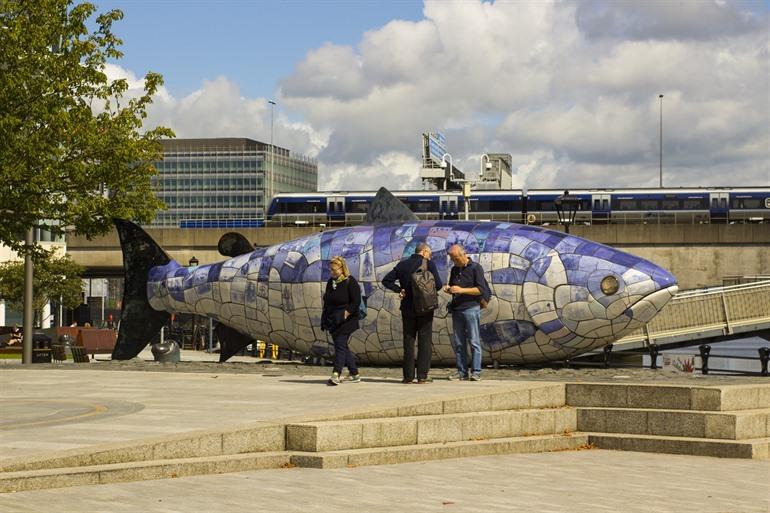 Großer Fisch des Wissens Belfast