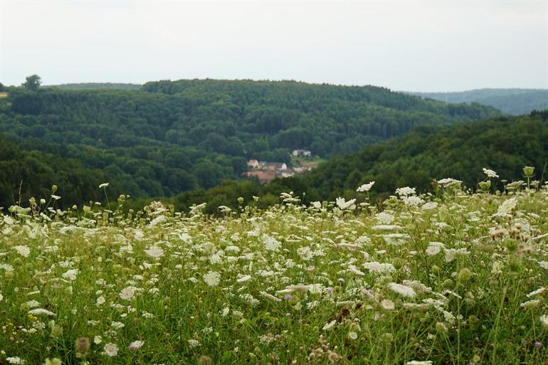 Biosphärenreservat Bliesgau
