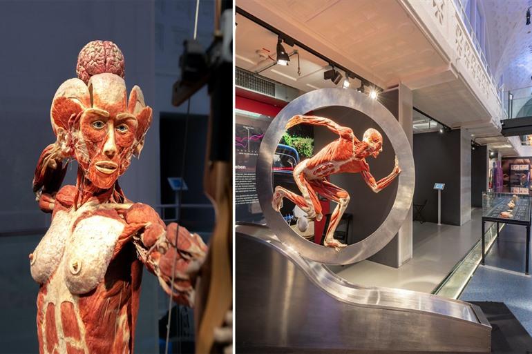 Besuch des BODY WORLDS Museums in Heidelberg