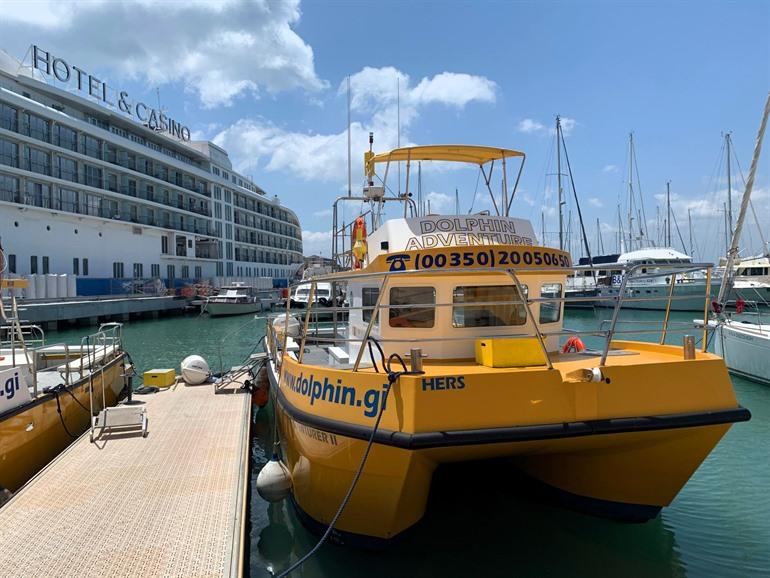 Buche eine Bootstour zur Delfinbeobachtung in Gibraltar