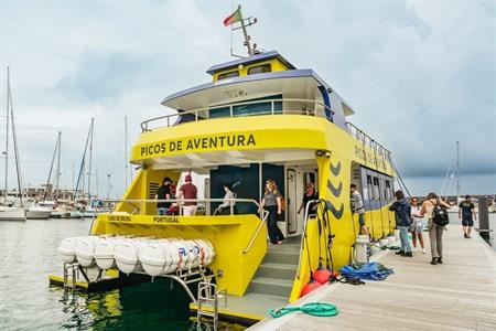 Buche deine Tour zum Delfin- und Walbeobachten auf São Miguel