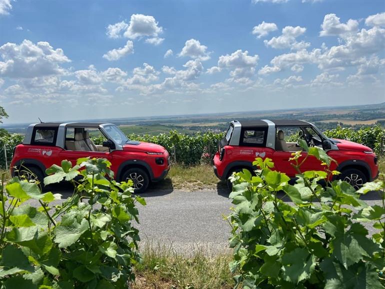 Buche eine private Tour zu den berühmtesten Weingütern und Dörfern in der Champagne inklusive Verkostungen