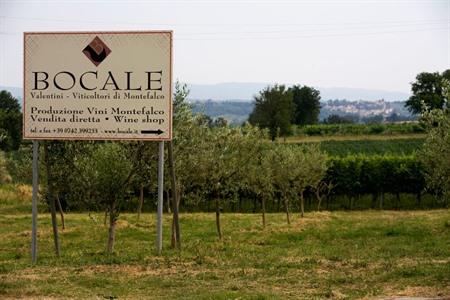 Buche eine Führung durch ein Weingut und einen Weinberg in Montefalco