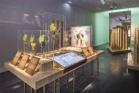 Buchen Sie Ihr Eintrittsticket für das Pressoria Museum inklusive Verkostungen