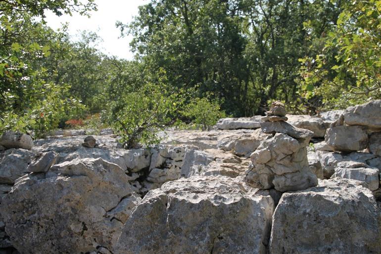Bois de Païolive in der Ardèche