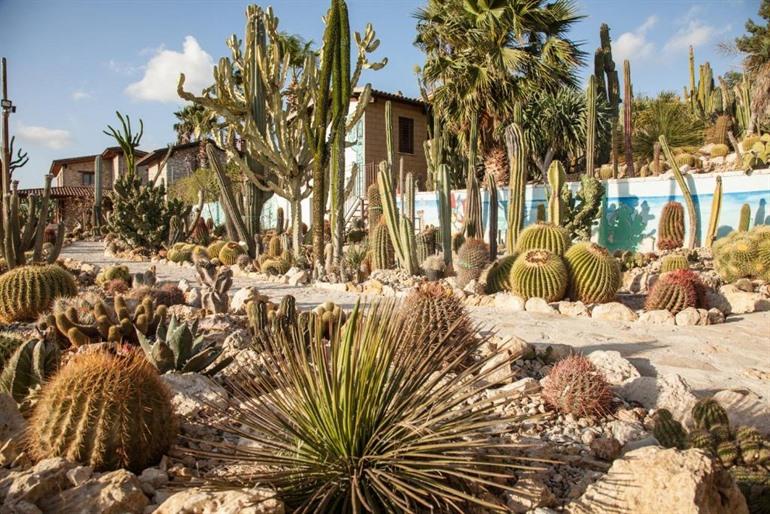 Botanischer Garten Kakteengarten buchen